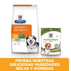 Hill's Prescription Diet Urinary + Metabolic c/d pienso para perros, , large image number null